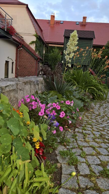 Katarzynka Appartement Boleścin Buitenkant foto